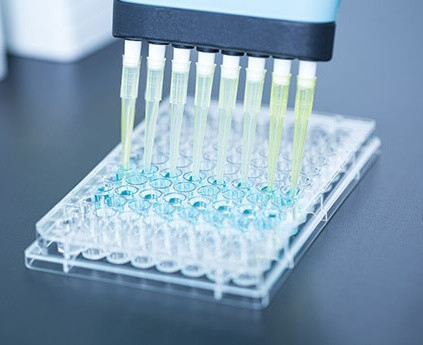 REAGEN LLC linea di produzione del fabbricante