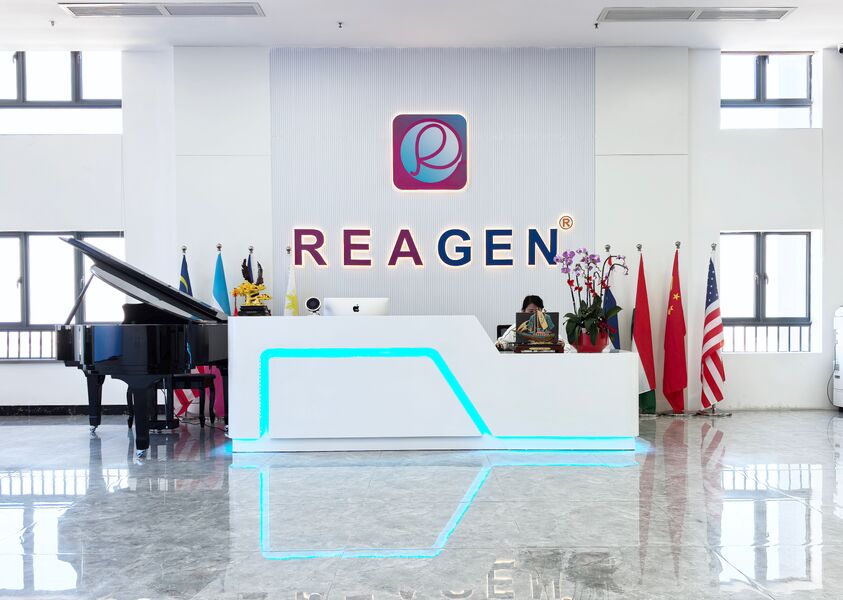 Cina REAGEN LLC Profilo aziendale 