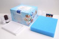 Furaltadone (AMOZ) ELISA Test Kit For Detection Honey Shrimp / Meat / Hepar