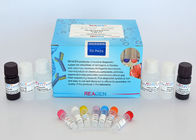 Rapid Antibiotic Test Kit Fludrocortisone ELISA Test Kit High Recovery