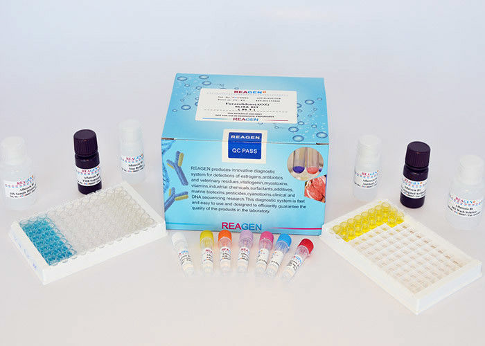 High Reproducibility Drug Residue Test Kit Chloramphenicol (CAP) ELISA Test Kit